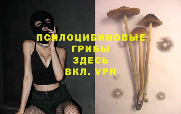 трава Нязепетровск
