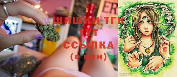 стафф Галич