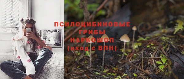 прущая мука Осинники