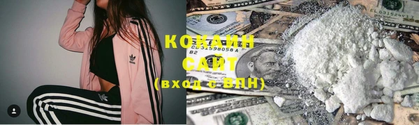 ГАЛЛЮЦИНОГЕННЫЕ ГРИБЫ Гатчина